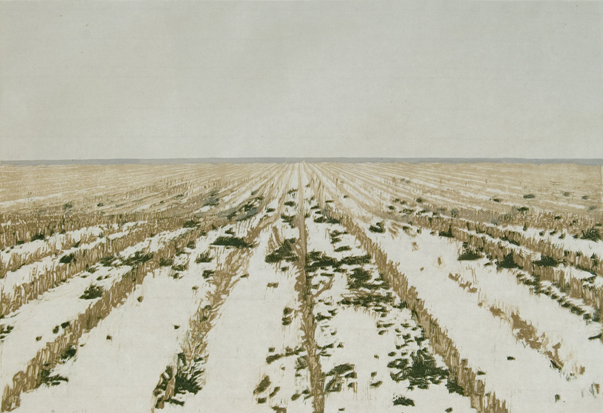28 Winterakker 49x34cm.jpg